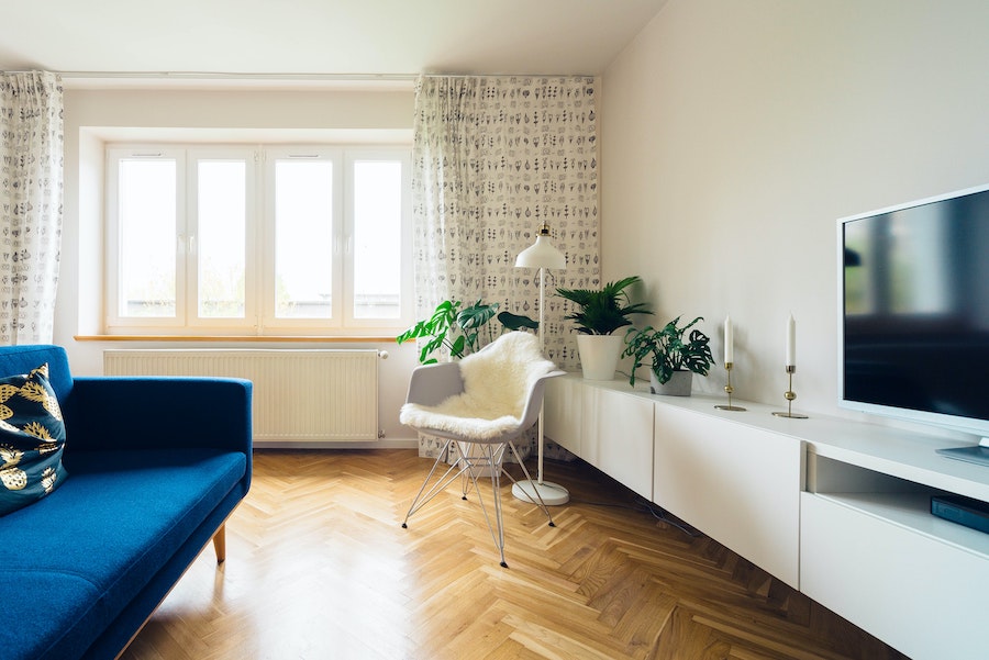 Helles Wohnzimmer mit blauem Sofa, Fernseher und Pflanzen