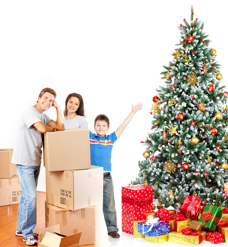 Familie mit Umzugskartons neben einem Weihnachtsbaum