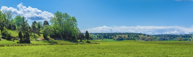 Genießen Sie die weiten grünen Landschaften Schwedens, ein Traumziel für jeden, der die Natur liebt und einen Umzug nach Schweden plant. Ideal für Wanderer und Naturbegeisterte.